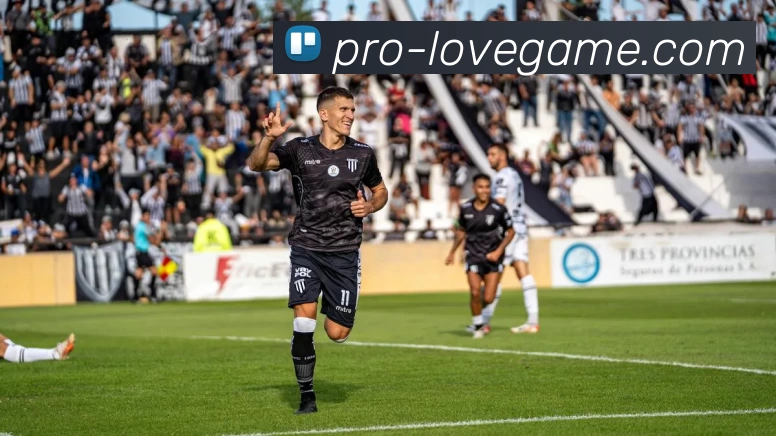 爱游戏专业版平台生态图